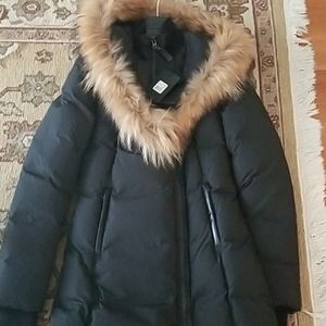 Mackage Kay- XS BNWT